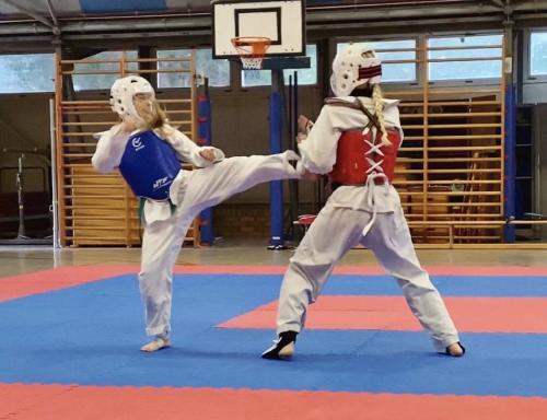 Taekwondo_3124
